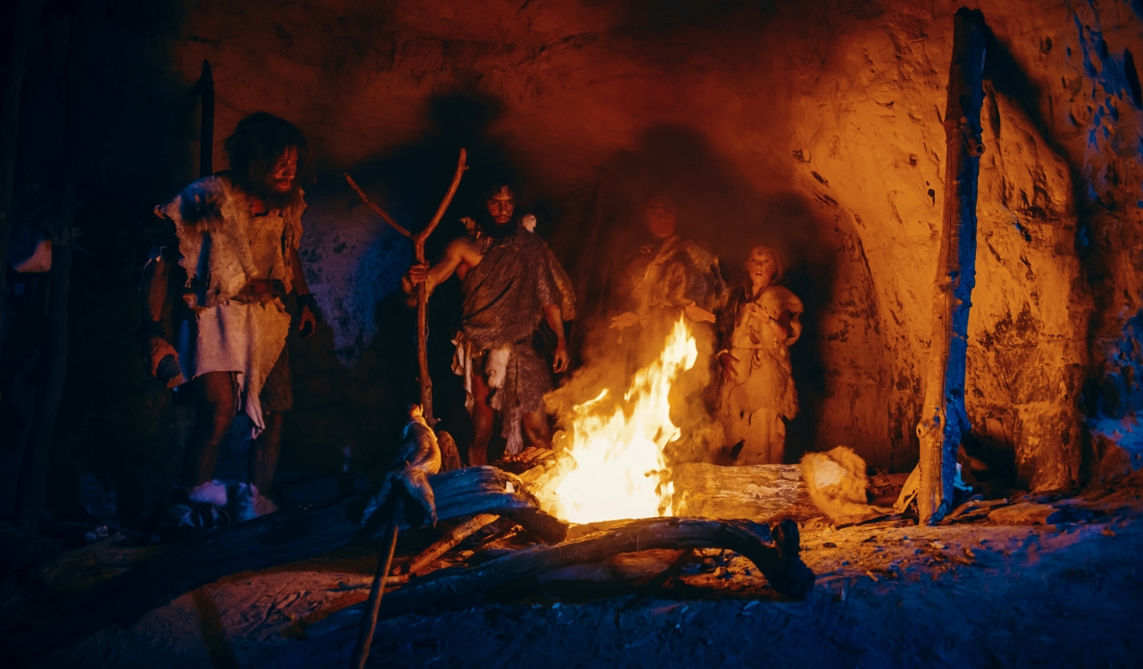 Worst Survival Myths That Could Get You Killed