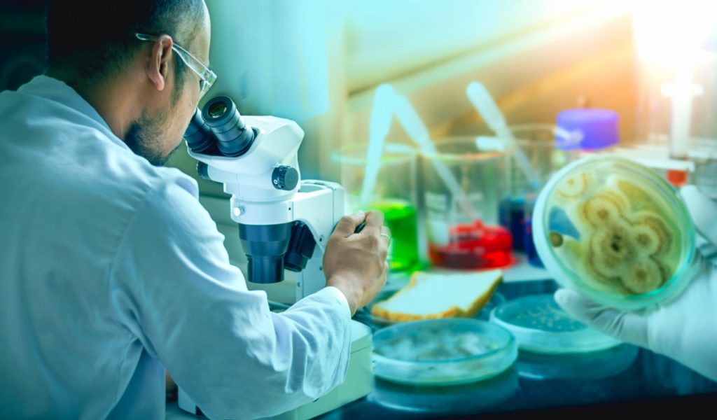 Scientist Looking Through A Microscope