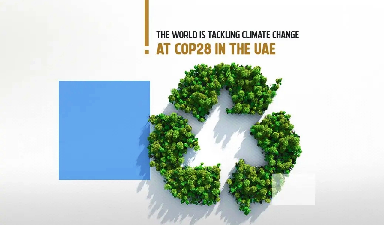 United Arab Emirates Names Oil Chief To Lead Upcoming Climate Change ...
