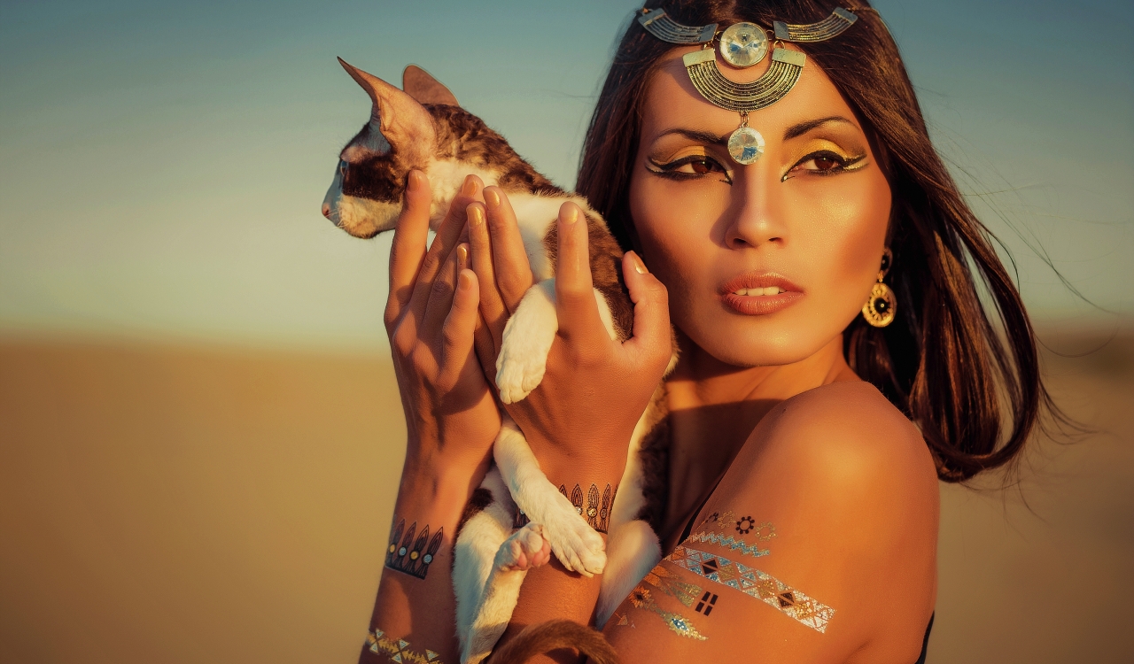 Science Has Officially Determined The Time Period When Humans Began Domesticating Cats