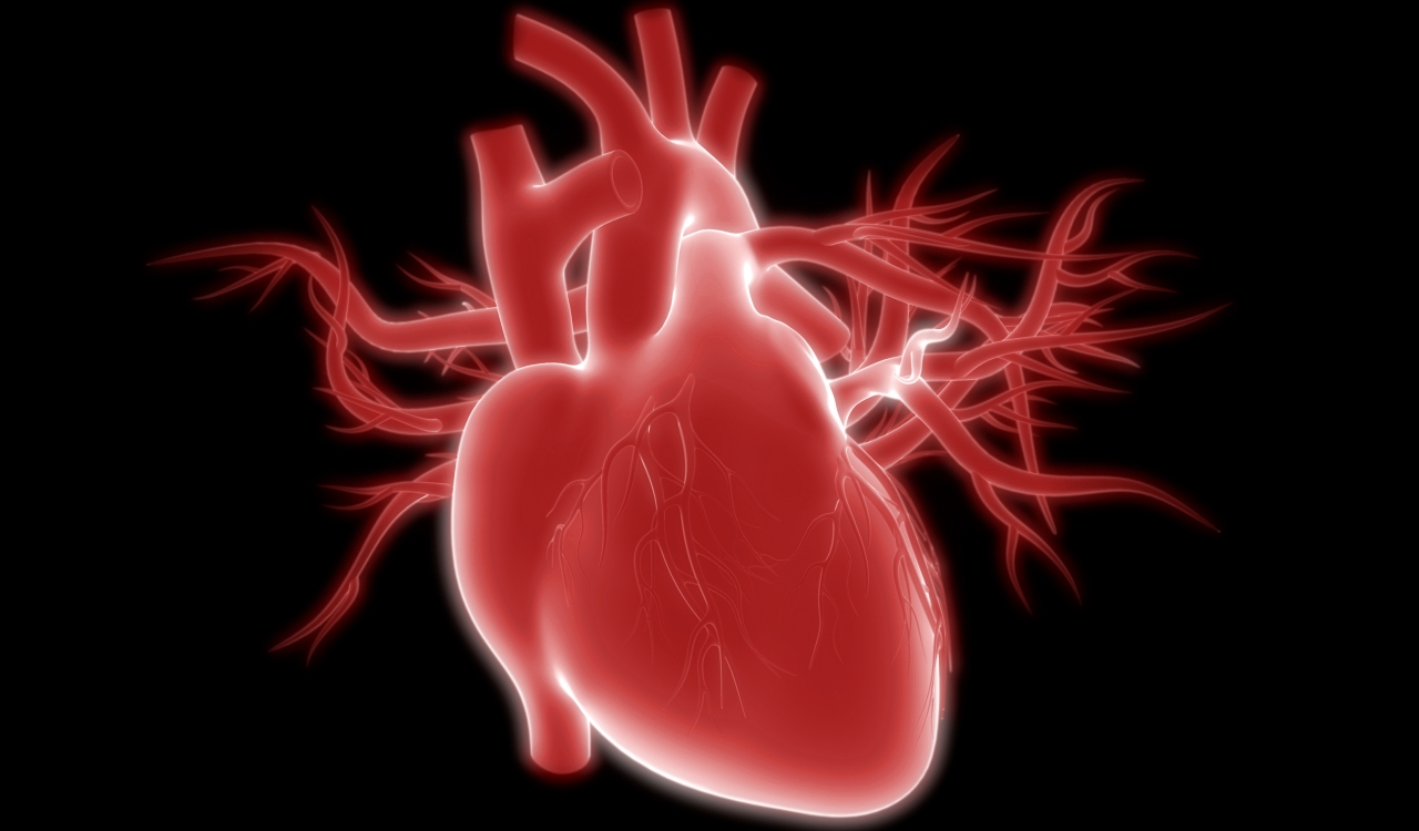 A New Biomaterial Could Be Capable Of Healing Humans From Heart Attack Damage