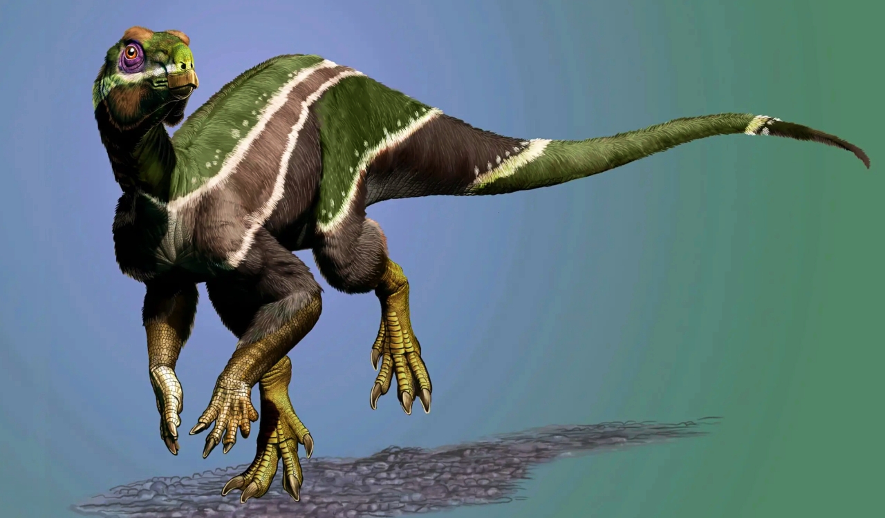 Newly Discovered Dinosaur Species Sheds Light On Major Ecological Changes