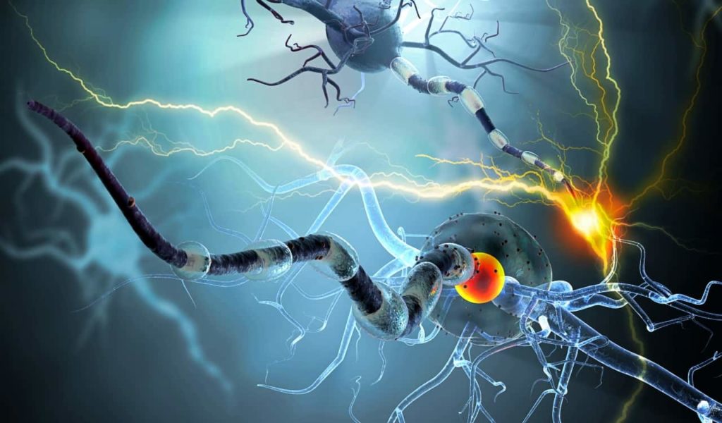 Nerve Cells Under Attack